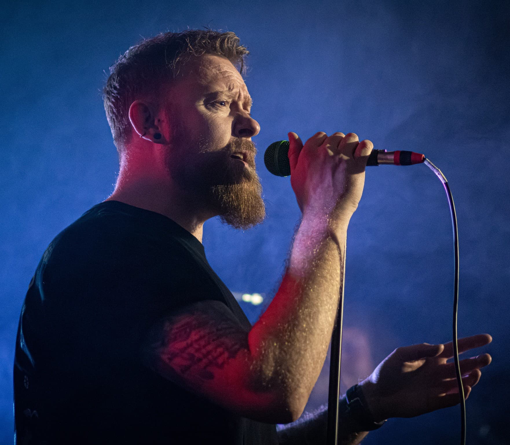 Vocalist into the mic, blue + red wash